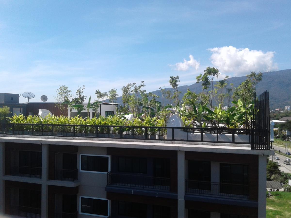 Icheck Inn Trams Square Chiang Mai Eksteriør bilde